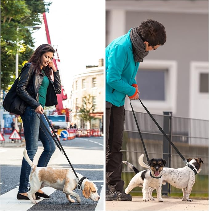 Wisedog Waterproof Dog Leash – 5ft/6ft Adjustable with 2 Metal Swivel Hooks, Easy to Clean Dog Leashes for Small, Medium, Large Breed Dogs (Black S)