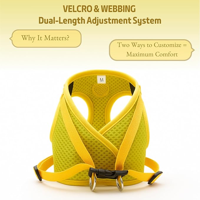 Small Dog Harness and Leash Set, Adjustable Step-in Dog Harness with Back Clip, Reflective Escape Proof Easy Walk Dog Harness for Small Sized Dog, Puppy, Cats (Lemon Yellow XS)