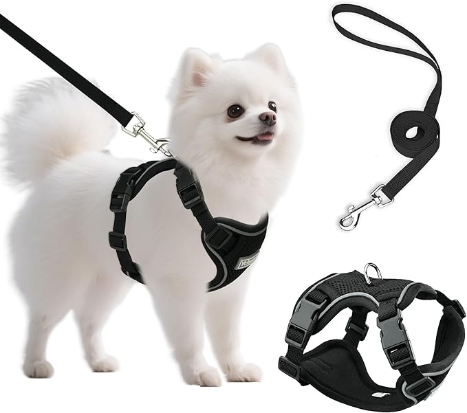 Small Dog Harness and Leash Set, Reflective Soft Breathable Mesh Vest, 3 Buckles, Adjustable Neck and Chest,Step in Dog Harness for Walking, Running, Training, Black, S