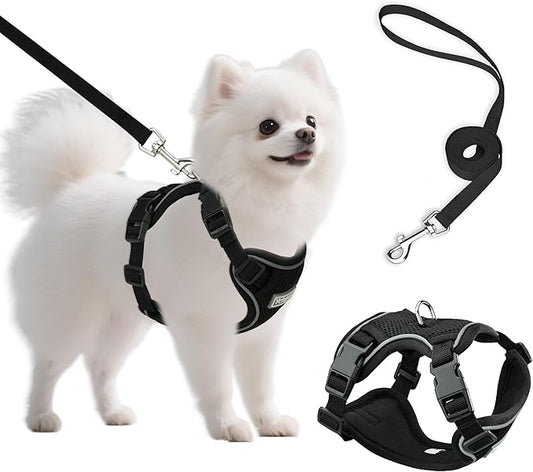 Small Dog Harness and Leash Set, Reflective Soft Breathable Mesh Vest, 3 Buckles, Adjustable Neck and Chest,Step in Dog Harness for Walking, Running, Training, Black, S