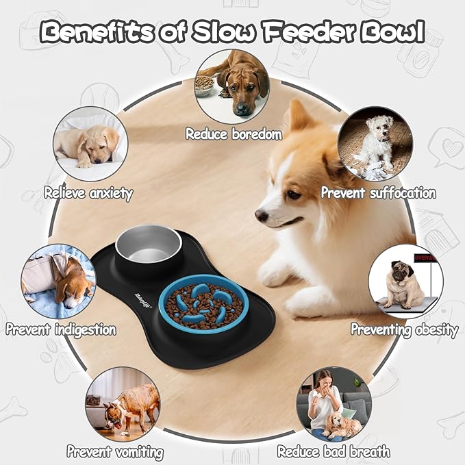 MateeyLife Dog Food Bowl Set 3 in 1, Basic Dog Bowls & Water Stainless Steel Bowl with Non-Spill Silicone Mat, Slow Feeder Bowls for Small, Medium, Large Breeds, Cat Feeding Dish to Anti-Choking
