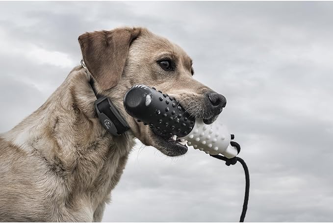 SportDOG FieldTrainer 425X - Remote Trainer Designed for Off-Leash Control & Training - 500-Yard Range - Waterproof - Quick Charge-Collar with 21 Levels of Static, Tone, & Vibration