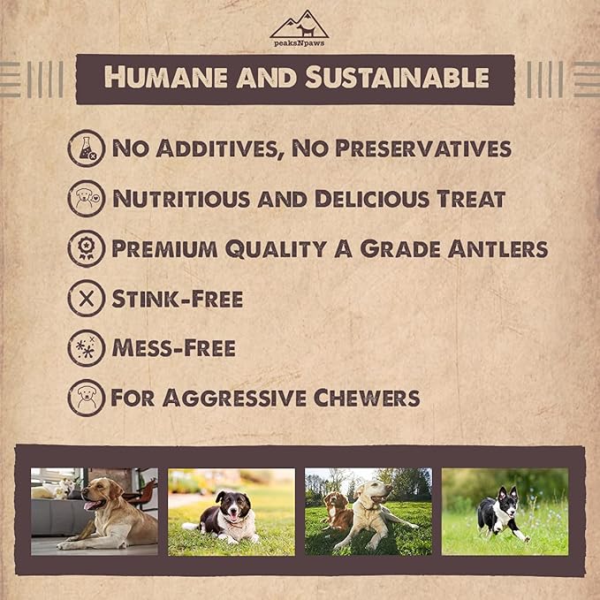 peaksNpaws Premium All-Natural Grade A Split Elk Antlers for Dogs – Naturally Shed in The Rocky Mountains – No Additives, No Preservatives - Healthy and Delicious Treat - Made in USA - XL/Jumbo Split