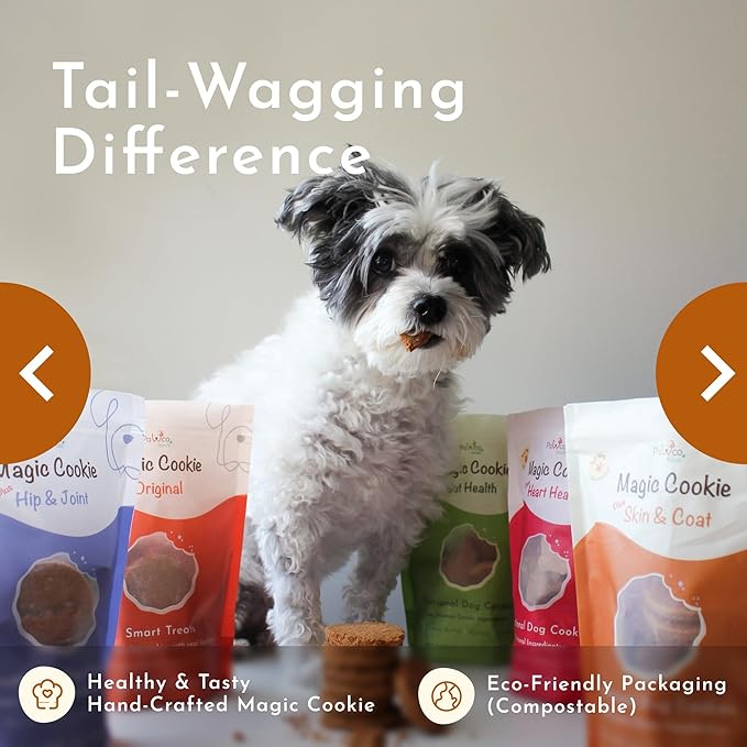 PawCo Dog Treats, Skin & Coat – Supports Skin Barrier & Coat Shine – Crunchy Dog Cookies with Omega-3 & DHA, Peanut Butter & Apple – Functional & Healthy Rewards for Dogs – Magic Cookie – 8.8oz