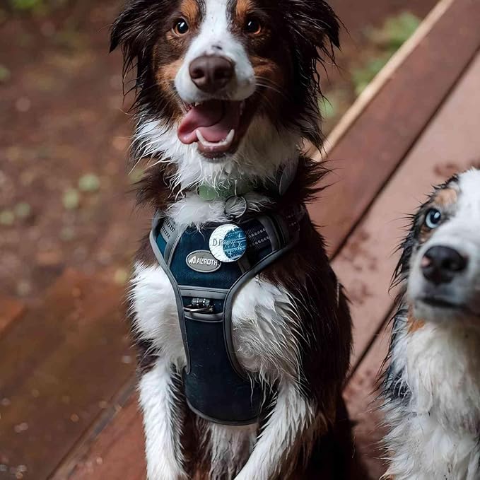 AUROTH Tactical Dog Harness for Small Medium Large Dogs No Pull Adjustable Pet Harness Reflective K9 Working Training Easy Control Pet Vest Military Service Dog Harnesses (M, Denim Blue)