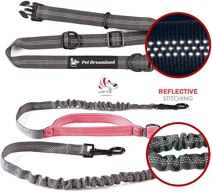 Exquisite Hands-Free Leash for Medium Dogs: Perfect for Active Pet Owners Comfortable, Durable & Ideal for Running, Walking, Hiking. Premium Dog Waist Leash with Bungee. Must-Have Dog Gear