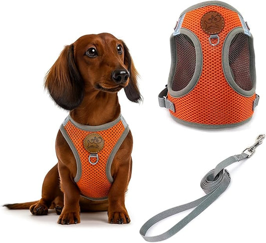 Small Dog Harness and Leash Set, Adjustable Step-in Dog Harness with Back Clip, Reflective Escape Proof Easy Walk Dog Harness for Small Sized Dog, Puppy, Cats (OrangeGrey XS)