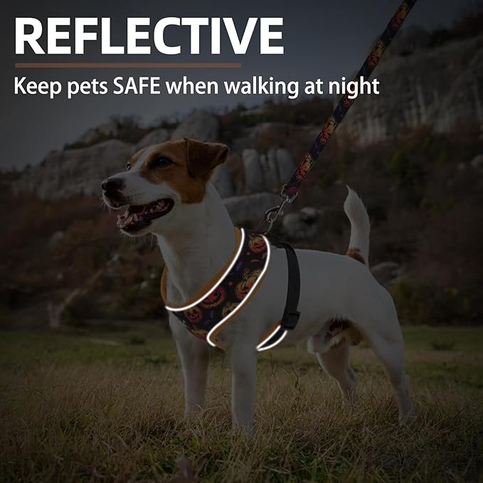 PUPTECK Soft Mesh Dog Harness and Leash Set Pet Puppy Cat Comfort Padded Vest No Pull Harnesses, Halloween Orange, S