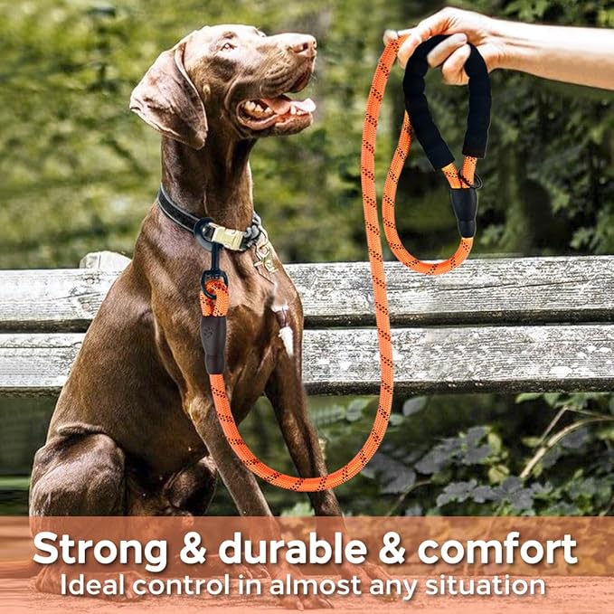 COOYOO Dog Leash 5/6 FT with Comfortable Padded Handle and Highly Reflective Threads for Small Medium and Large Dogs