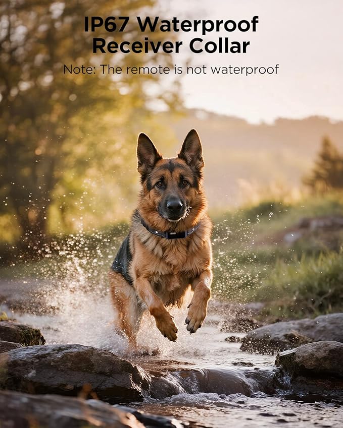 BLACKDOG Military Dog Shock Collar - 4200ft Dog Training Collar with Remote, 4 Training Modes, Flashlight & Strobe, 3-Month Battery, IP67 Waterproof Dog E Collar for All Breeds 5-150lbs (Dark Blue)