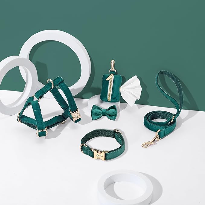 Velvet Harness Set, Gift for Pet Owners, Custom Dog Collar Personalized with Name and Phone Number, Custom Collar and Leash for Dogs, Engraved Metal Buckle Collar(Medium)