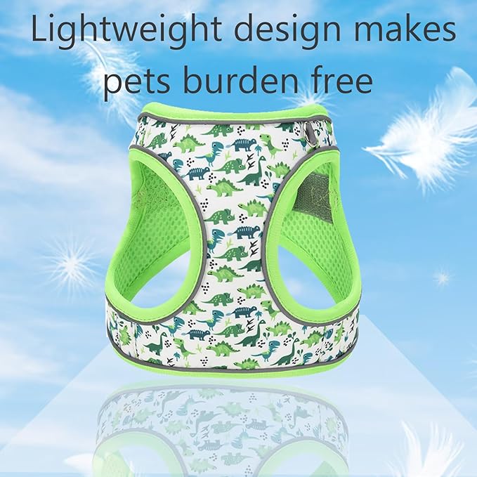 XXS Dog Harness and Leash Set, Step in Dog Harness No Pull for Walking Running Training, Puppy Essentials for Dogs Cat Bunny, Adjustable Reflective Dog Vest Harness. (Green, XXS)