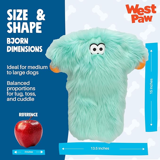 WEST PAW Rowdies Bjorn Durable Plush Dog Toy with Reinforced Seams Chew Resistant Design and Interactive Squeaker for Playtime Indoors or Outdoors Bundle for Dogs Who Deserve The Best - Seafoam