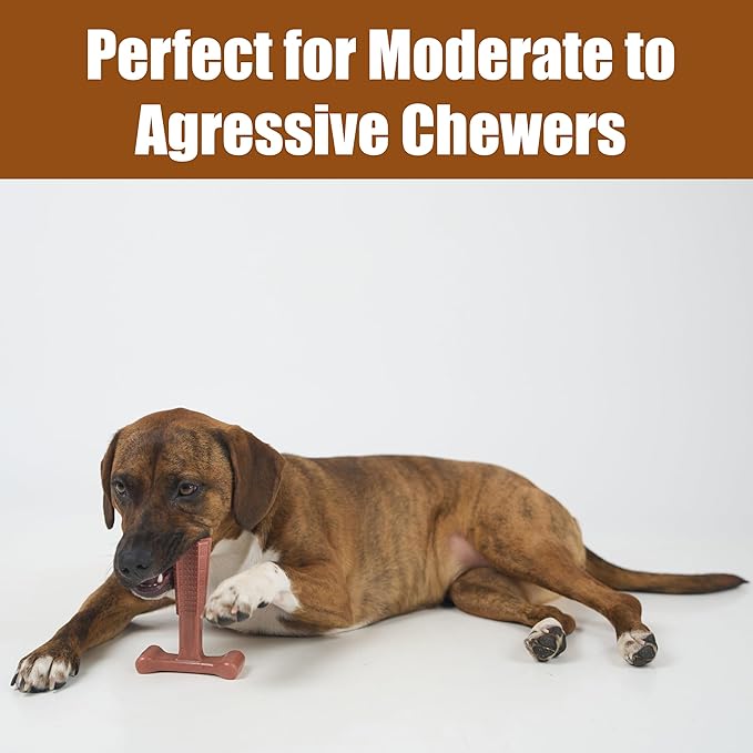 SPOT Bam-Bones Plus T Bone – Bamboo Fiber & Nylon Dog Chew Toy for Moderate to Aggressive Chewers, Durable Long Lasting & Non-Splintering, Beef Flavor Toy for Adult Dogs & Puppies Under 60 lbs, 6 in