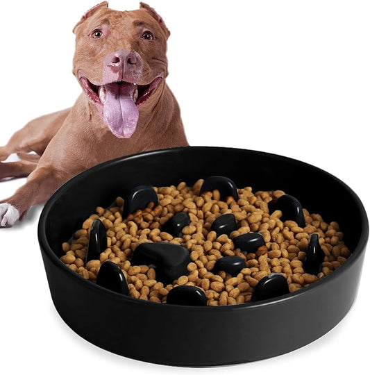 HAOTOP Ceramic Fun Slow Feeder Bowl, Porcelain Slow Eater Bowl for Medium Sized Dogs (Black)