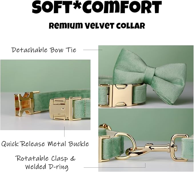 Personalized Velvet Dog Collar with Name & Phone, Multi-Color Options, Metal Quick-Release Buckle, Soft & Stylish (Style-C)