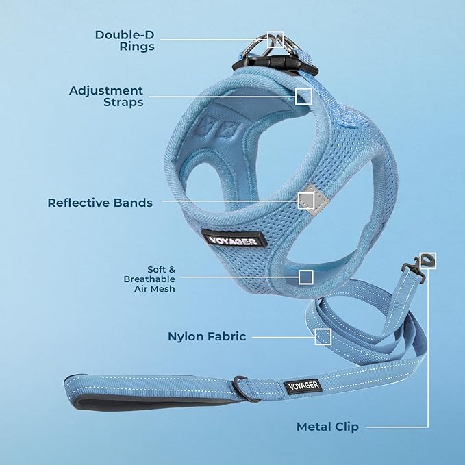 Voyager Step-in Air All Weather Mesh Harness and Reflective Dog 5 ft Leash Combo with Neoprene Handle, for Small, Medium and Large Breed Puppies by Best Pet Supplies - Set (Baby Blue), XS