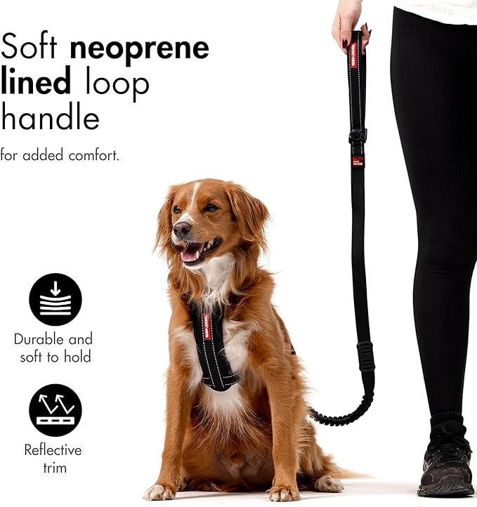 EzyDog Zero Shock Dog Leash - Shock Absorbing Bungee Leash for Dogs That Pull or Excite - Dual Handle and Reflective for Large, Medium, or Small Dogs (48-Inch, Corduroy)