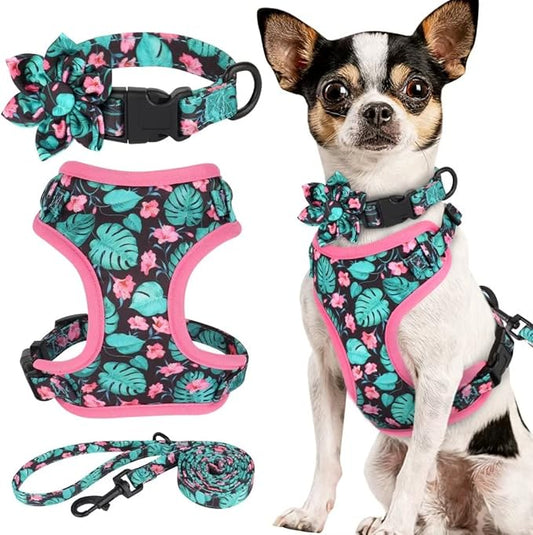 Beirui Cute Girl Dog Collars, Harnesses & Leashes Set - Adjustable Dog Collar and Leash Set with Flower - Soft Mesh Dog Vest Harness for Puppies Small & Extra Small Dogs Cats (Green,XXS)