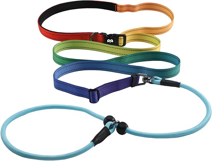 QQPETS Adjustable Slip Lead Dog Leash, Hands Free Waist Leash for Dog Walking, Reflective Training Lead with 360° Swivel Anti-Tangle, 4-7 ft Length for All Breeds