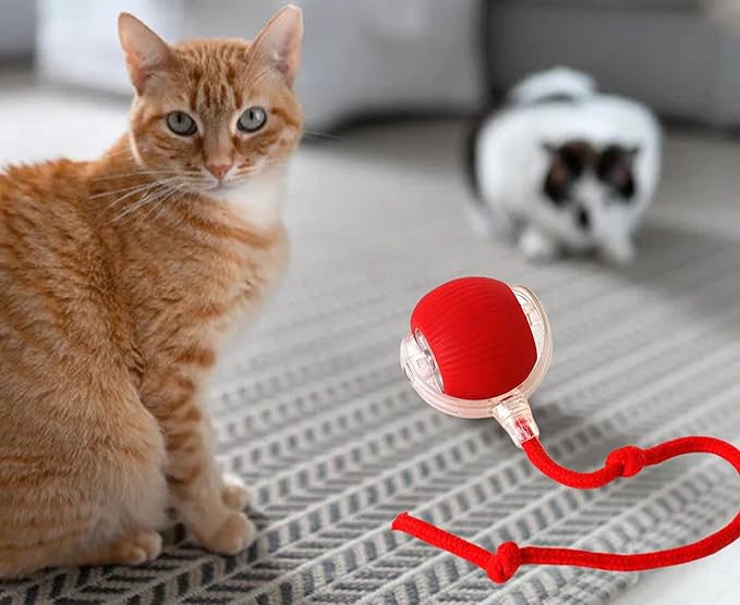 Cat Smart Rolling Ball [RED], LED Lights, Indoors for Active Cats - Rechargeable, Automatic, Speedy Tail/Rope