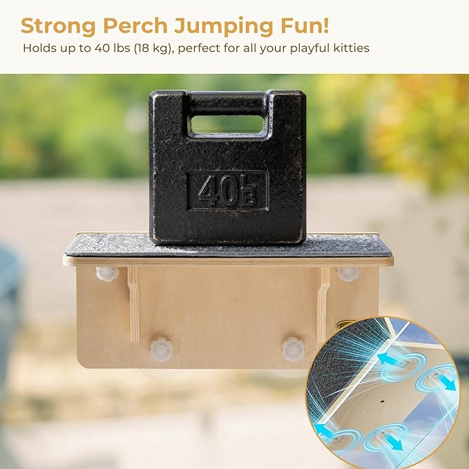 Pecute 2-in-1 Cat Window Perch & Wall Shelves, Cat Hammock Window with Solid Wood, Strong Suction Cup, Washable Cover Mat, Kitten Window Seat Indoor, Cats Perch Bed for Birds Watching Inside,16"x10"