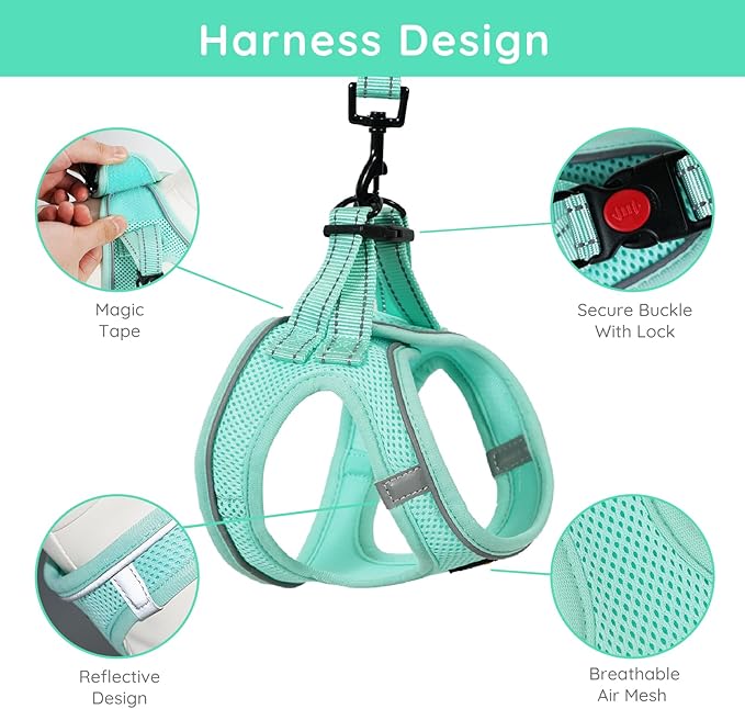 BELLA & PAL Small Dog Harness with Leash Set, Light Green, Size S, No Pull, Reflective Strips, Step-in Design
