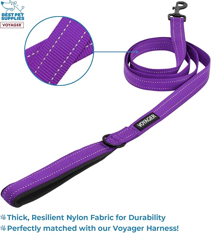 Voyager Step-in Air All Weather Mesh Harness and Reflective Dog 5 ft Leash Combo with Neoprene Handle, for Small, Medium and Large Breed Puppies by Best Pet Supplies - Leash Harness (Purple), L