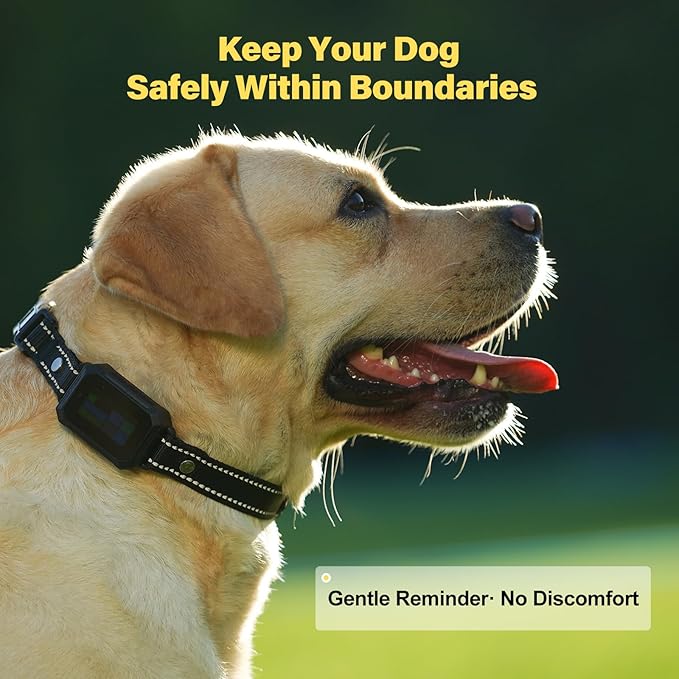 GPS Wireless Dog Fence System - Electric Training Collar with Free App for Dogs (Black)