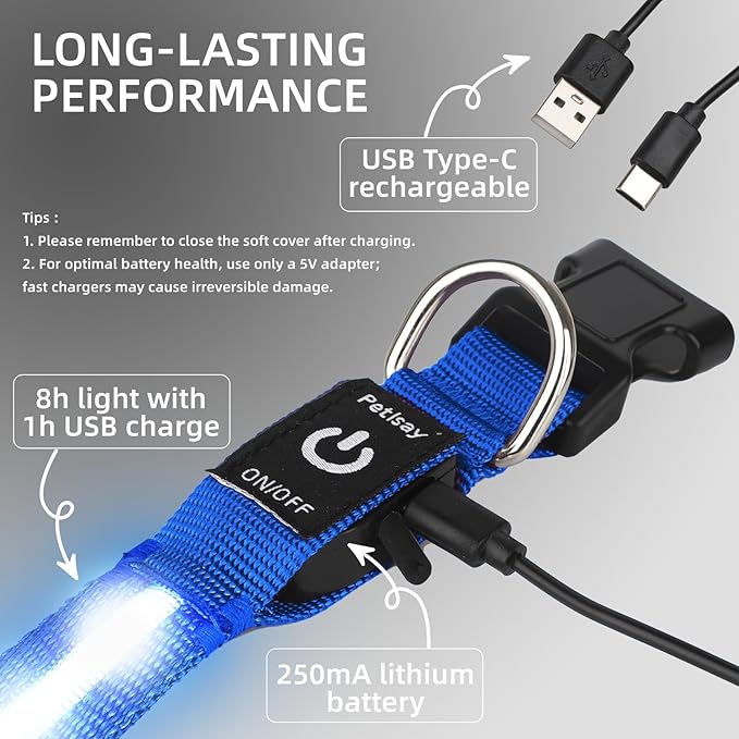 LED Dog Collar for Small Dogs Cats - Fully Waterproof & Adjustable Glow Collar - USB-C Rechargeable for Night Walking, Safety - Flashing Lighted Collar for Dogs(Blue,XS)
