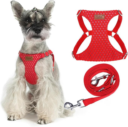 PUPTECK Dog Harness and Leash Set Small Sized, Step-in Cute Puppy Harness, Soft Lightweight Padded Vest, Escape Proof No Pull Pet Harnesses Easy for Walking, Red, M