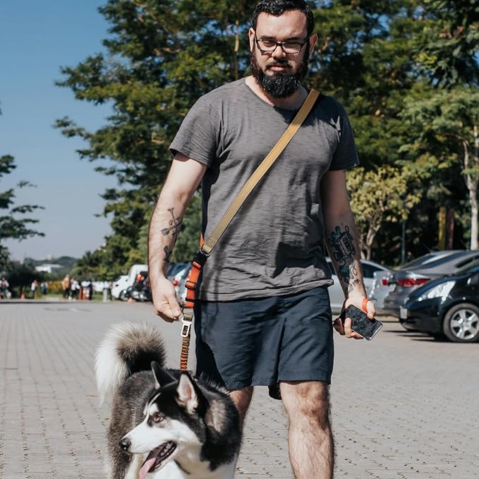 Roses&Poetry Hands Free Dog Leash for Medium Large Dogs Heavy Duty, No Pull Bungee Dog Running Waist Leash for Walking Training with Car Seatbelt 4-6FT