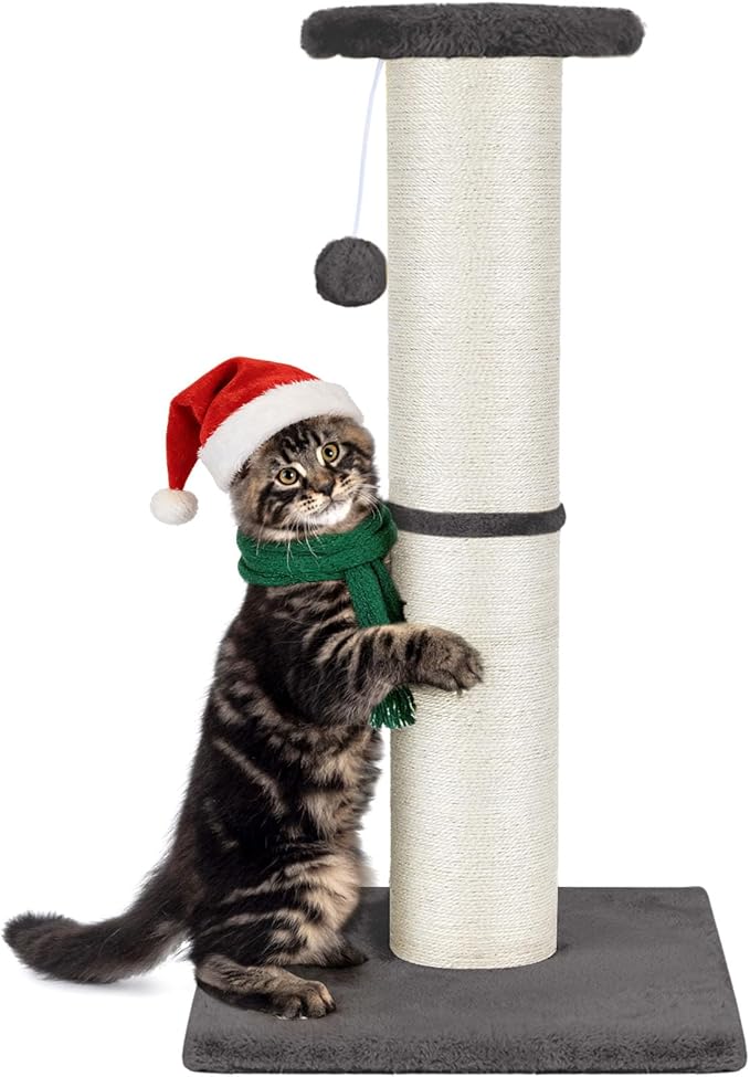 PAWSCRAT Cat Scratching Post 32" Tall, Large Diameter Natural Sisal Cat Scratch Post with Dangling Ball, Scratch-Resistant and Durable Tall Cat Scratcher for Indoor Cats, Protect Your Furniture, Grey