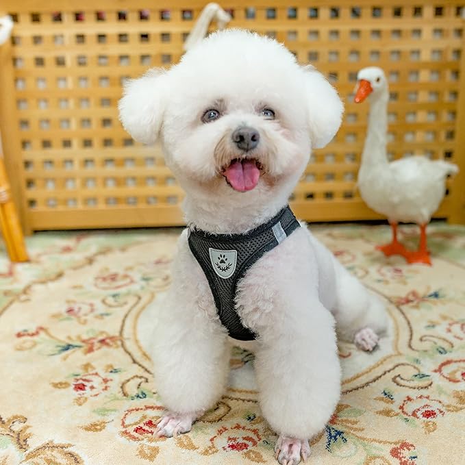 PUPTECK Adjustable Dog Harness Collar and Leash Set Step in No Pull Pet Harness for Small Medium Dogs Puppy and Cats Outdoor Walking Running, Soft Mesh Padded Reflective Vest Harnesses, Solid Black XS