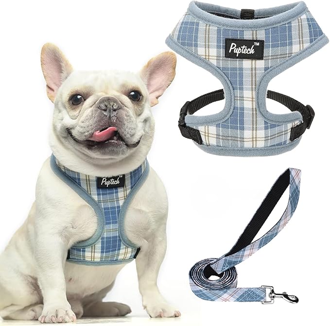 PUPTECK Soft Mesh Dog Harness and Leash Set Pet Puppy Cat Comfort Padded Vest No Pull Harnesses, Sky Blue, S