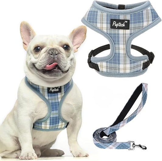 PUPTECK Soft Mesh Dog Harness and Leash Set Pet Puppy Cat Comfort Padded Vest No Pull Harnesses, Sky Blue, M