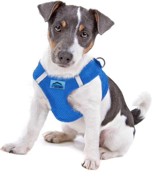 Doggie Design Dog Harness - No Choke Dog Harness, Dog Vest, Mesh Polyester, Pet Harness, Simple Step in and Go Design, Harness for Dog - Cobalt Blue, S