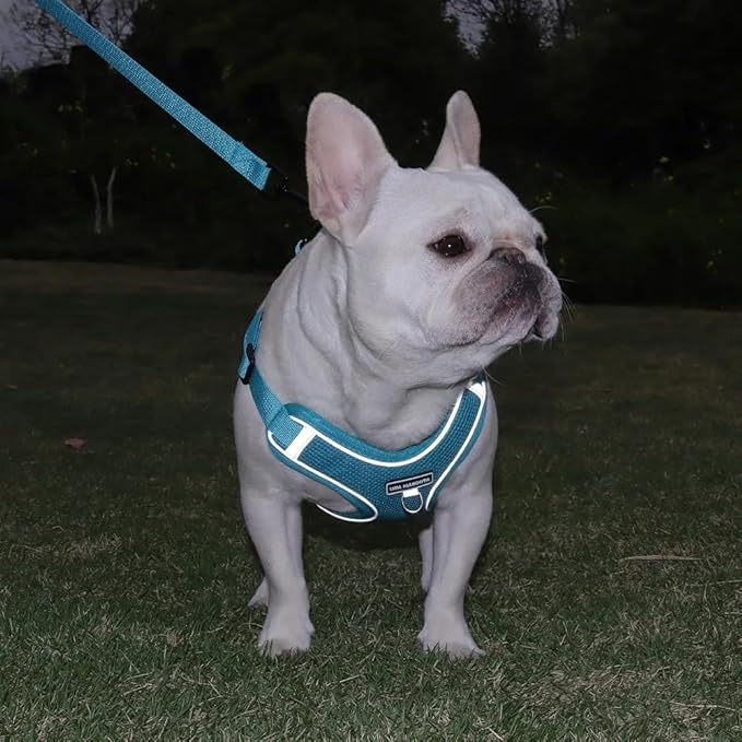 Dog Harness and Leash Set, Adjustable Triangle, Reflective Adjustable Puppy Vest, No Pull Soft Mesh Harness for Small, Medium Dogs, Cats (Turquoise, M)