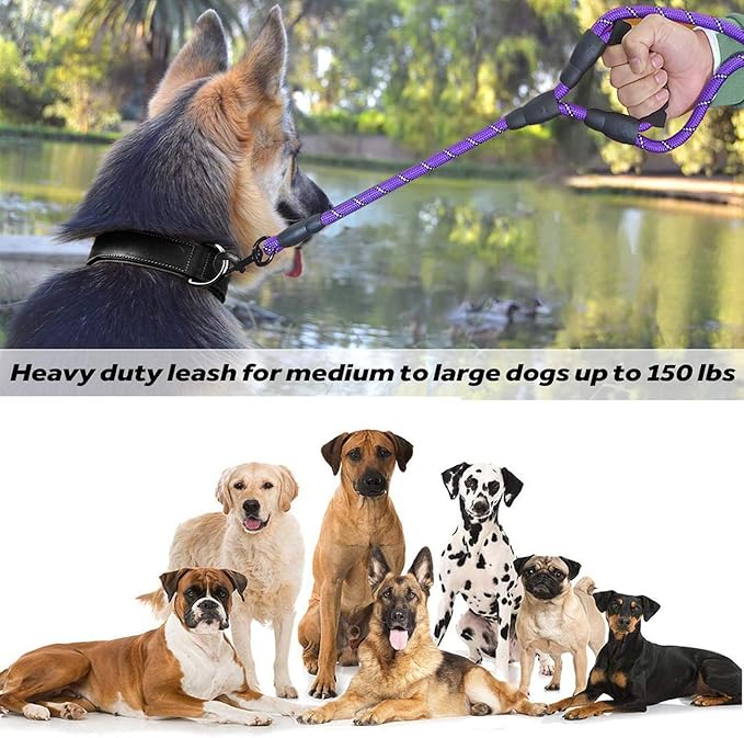 JSXD 5 FT Heavy Duty Double Handle Dog Leash with Comfortable Padded and Reflective Rope, for Small, Medium, Large Dogs (Rope-Purple)