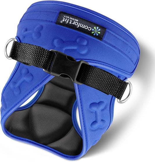 Comfort Fit Dog Harness No Pull with 2 Leash Clips Step in Harness for Small Sized Dogs Soft Padded Comfortable All Weather Dog Vest with Easy Control Adjustable Buckles for Dogs & Puppies – Blue XS
