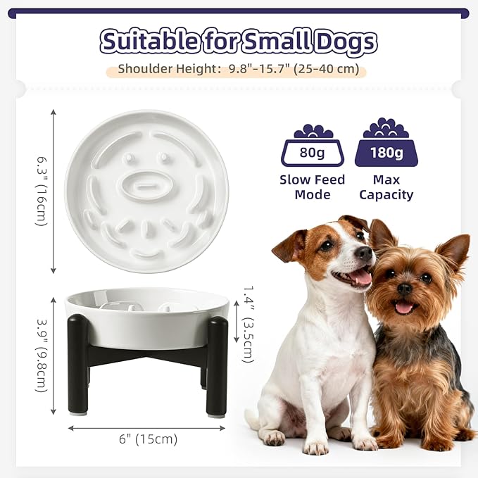 Elevated Slow Feeder Dog Bowl - Ceramic Maze Dog Food Bowl with Stainless Stand - Raised Slow Feeder for Small Breeds to Control Eating Speed - 6.3 Inch - 0.8 Cups (80g) - White