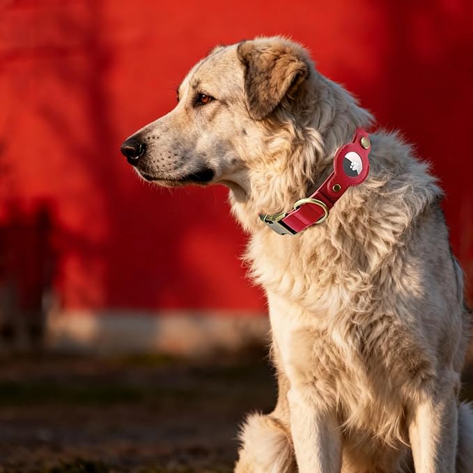 AirTag Dog Collar for Large Dogs - Soft Leather Dog Collar with Apple AirTag Holder and Metal Buckle - Smart Tracker GPS Apple Air Tag Pet Collars (Red, L)