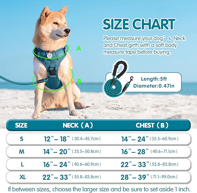 PoyPet No Pull Dog Harness and 5 Feet Leash Set, Release on Neck Reflective Adjustable Pet Vest, Front & Back 2 D-Ring and Soft Padded Pet Harness with Handle for Small to Large Dogs(Tumalo Teal,M)