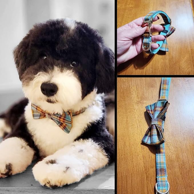 Custom Dog Collar with Metal Buckle - Pet Collars Personalized with Name and Phone Number (Plaid)