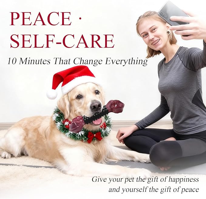 Apasiri Dog Toys for Aggressive Chewers with Bacon Flavor: 3-Pack Dog Bones for Large Dogs, 8" Chew Toys Long-Lasting, Tough Nylon & Rubber Dogs Toys