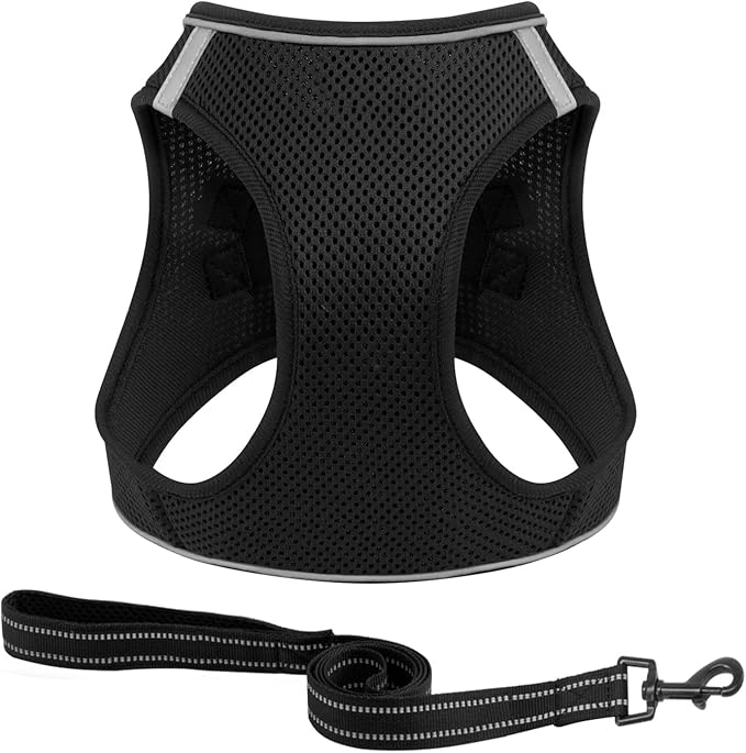 Dog Harness and Leash Set, No Pull Mesh Puppy Harness for Small Medium Sized Dogs, Pet Vest for Walking Running Training, Double D-Rings Reflective Strip