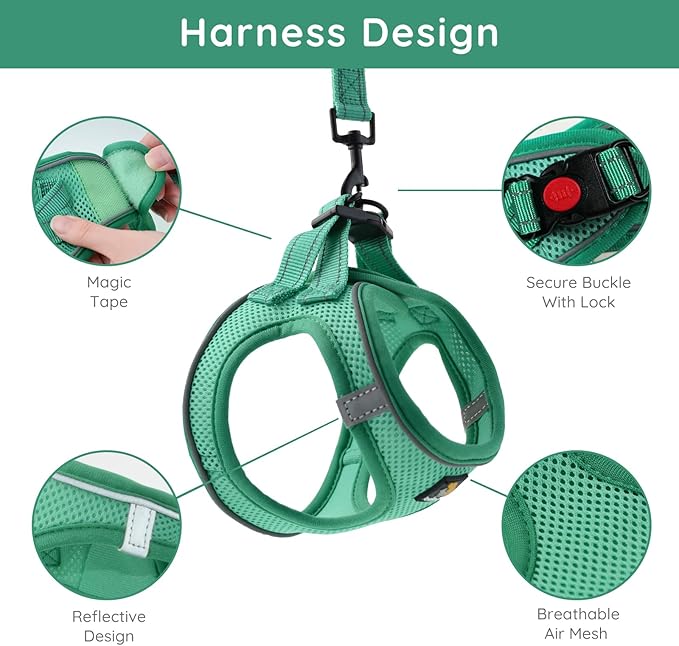 BELLA & PAL Small Emerald Dog Harness with Leash Set, No Pull, Step in Design, Reflective, Lightweight Mesh, S