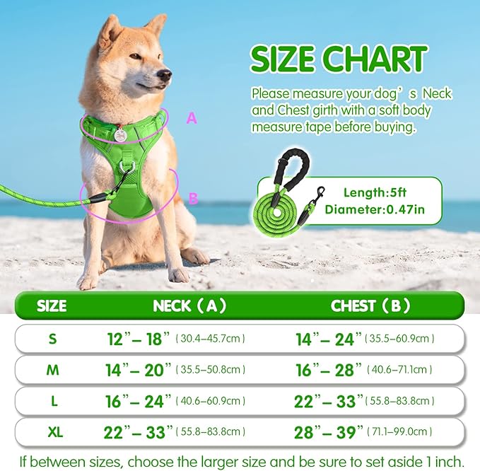 PoyPet No Pull Dog Harness and 5 Feet Leash Set, Release on Neck Reflective Adjustable Pet Vest, Front & Back 2 D-Ring and Soft Padded Pet Harness with Handle for Small to Large Dogs(Green,M)