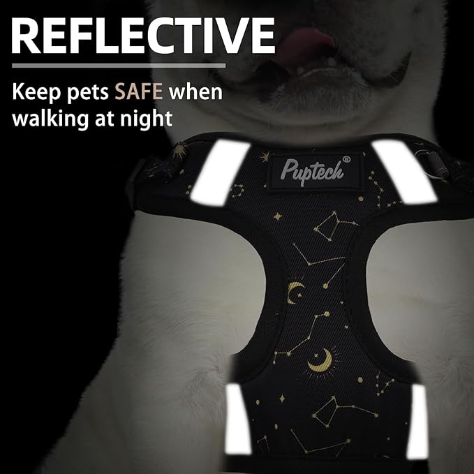 PUPTECK Dog Harness and Leash Set Medium Sized, Step in No Pull Adjustable Puppy Cat Harness Reflective Pet Vest