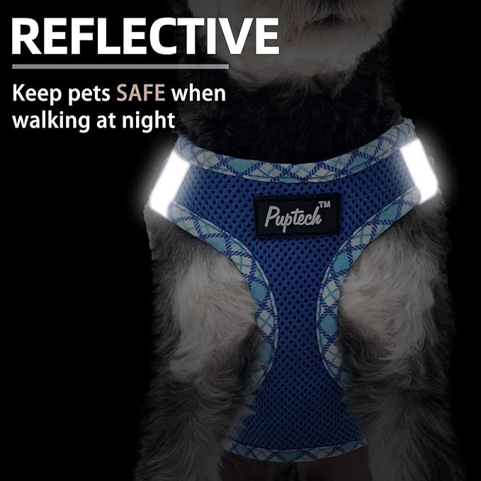 PUPTECK Dog Harness and Leash Set for Small Medium Dogs No Pull Step-in Soft Mesh Puppy Cat Vest Harnesses Reflective at Night, Blue S